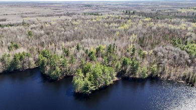 Lake Acreage Sale Pending in Tomahawk, Wisconsin