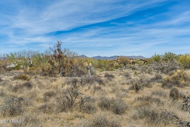 Nestled into a 2.1-acre lot, a 7,600 sq ft to-be-built home - photo 42
