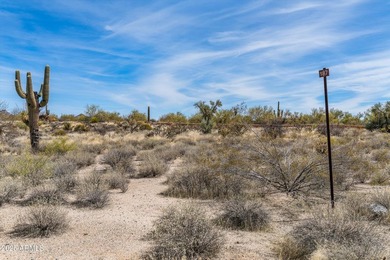 Nestled into a 2.1-acre lot, a 7,600 sq ft to-be-built home - photo 45