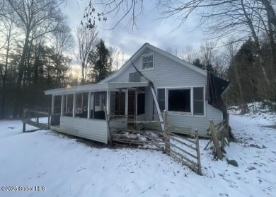 Lake Home For Sale in Horicon, New York