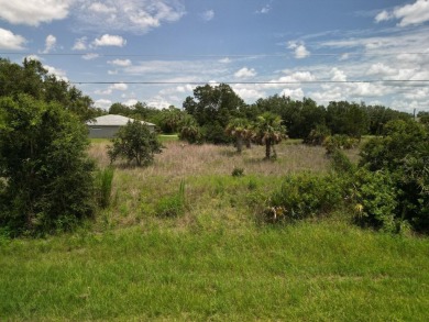 Port Charlotte Waterway Lakes Area Lot For Sale in Port Charlotte Florida