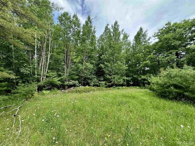 Menominee River Acreage Active Under Contract in Norway Michigan