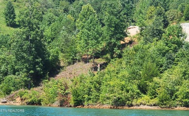 (private lake, pond, creek) Lot For Sale in Lafollette Tennessee