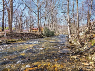 (private lake, pond, creek) Home For Sale in Maggie Valley North Carolina