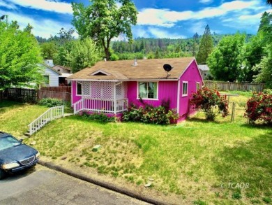 Trinity Lake / Clair Engle Lake Home For Sale in Lewiston California
