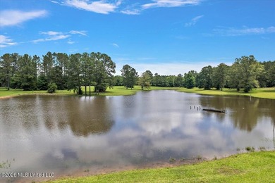 Stunning 47-Acre Country Retreat with Pond, Pool, & Multiple - photo 12