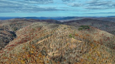 Nestled across Monroe and Greenbrier Counties, this stunning - photo 21