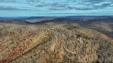 Nestled across Monroe and Greenbrier Counties, this stunning - photo 22