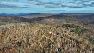 Nestled across Monroe and Greenbrier Counties, this stunning - photo 23
