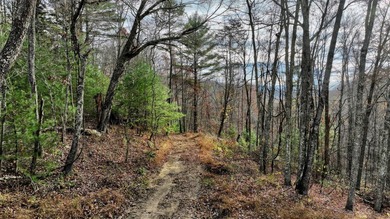 Nestled across Monroe and Greenbrier Counties, this stunning - photo 24