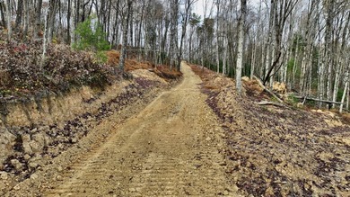 Nestled across Monroe and Greenbrier Counties, this stunning - photo 25