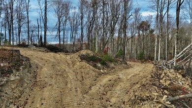 Nestled across Monroe and Greenbrier Counties, this stunning - photo 26