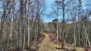 Nestled across Monroe and Greenbrier Counties, this stunning - photo 27