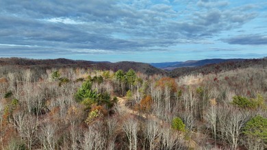 Nestled across Monroe and Greenbrier Counties, this stunning - photo 29