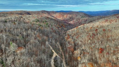 Nestled across Monroe and Greenbrier Counties, this stunning - photo 31