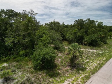 Port Charlotte Waterway Lakes Area Lot For Sale in Port Charlotte Florida