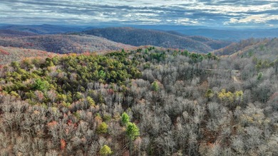 Nestled across Monroe and Greenbrier Counties, this stunning - photo 34