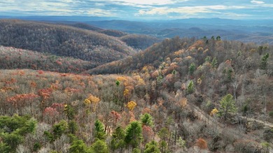 Nestled across Monroe and Greenbrier Counties, this stunning - photo 35