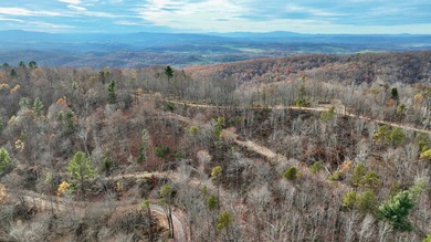 Nestled across Monroe and Greenbrier Counties, this stunning - photo 36
