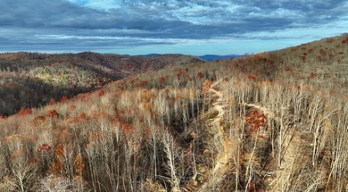 Nestled across Monroe and Greenbrier Counties, this stunning - photo 37