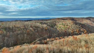 Nestled across Monroe and Greenbrier Counties, this stunning - photo 38