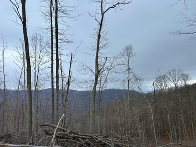 Nestled across Monroe and Greenbrier Counties, this stunning - photo 39