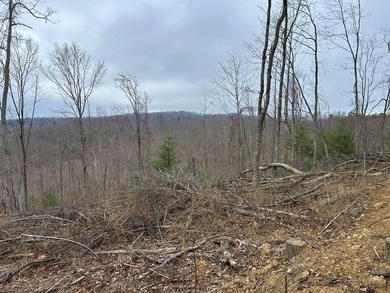 Nestled across Monroe and Greenbrier Counties, this stunning - photo 40