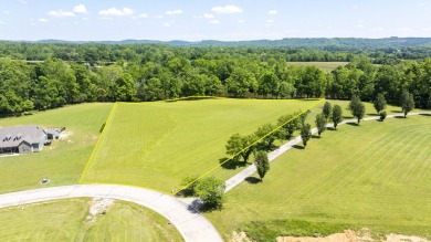 Lake Acreage For Sale in Dayton, Tennessee