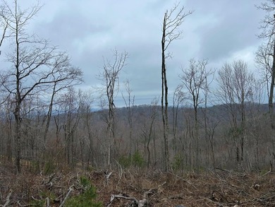 Nestled across Monroe and Greenbrier Counties, this stunning - photo 41