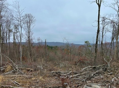 Nestled across Monroe and Greenbrier Counties, this stunning - photo 42