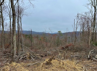 Nestled across Monroe and Greenbrier Counties, this stunning - photo 43