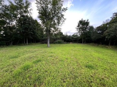 Buildable Lot in Holiday Lakes SOLD - photo 7