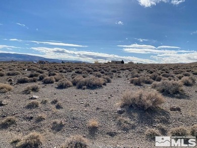 Lake Lahontan Lot For Sale in Silver Springs Nevada