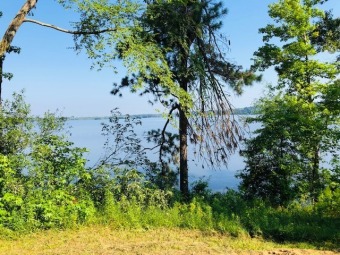 Beautiful Waterfront W/125 Feet Shoreline SOLD - Lake Lot SOLD! in Milam, Texas