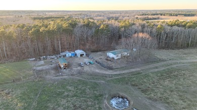 (private lake, pond, creek) Home For Sale in Summersville Missouri