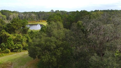(private lake, pond, creek) Acreage For Sale in Ocklawaha Florida