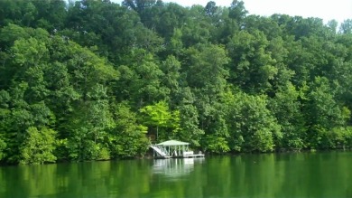 Owner Financing Available To qualified buyer! Beautiful & - Lake Lot For Sale in Gretna, Virginia