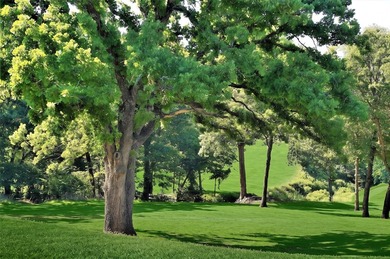 What a great view! This fully wooded lot in Pronghorn looks out - photo 23
