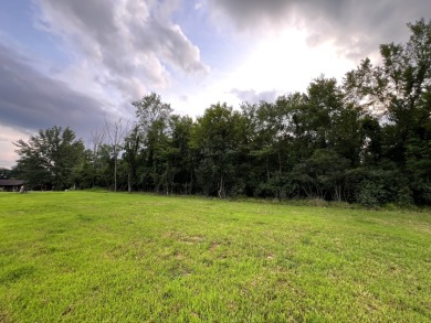 Buildable Lot in Holiday Lakes SOLD - photo 6