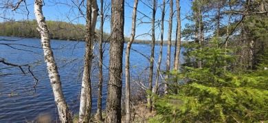 Lake Acreage For Sale in Presque Isle, Wisconsin