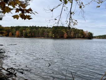 293 Feet of Dock able waterfront! - Lake Lot For Sale in Connelly Springs, North Carolina