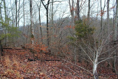 1.81 Acre Building Lot in Sandstone Point on Lake Cumberland - photo 3