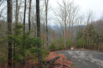 1.81 Acre Building Lot in Sandstone Point on Lake Cumberland - photo 4