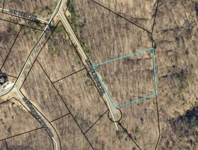 1.81 Acre Building Lot in Sandstone Point on Lake Cumberland - photo 5
