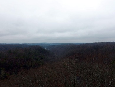 1.81 Acre Building Lot in Sandstone Point on Lake Cumberland - photo 7