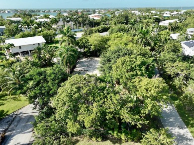 Looking for your ROGO exempt slice of paradise. Look no further - photo 8