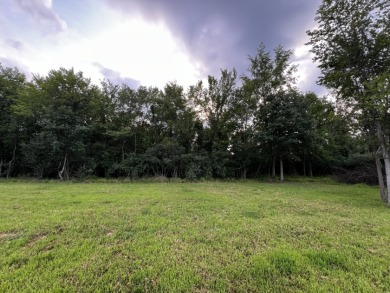 Buildable Lot in Holiday Lakes SOLD - photo 5
