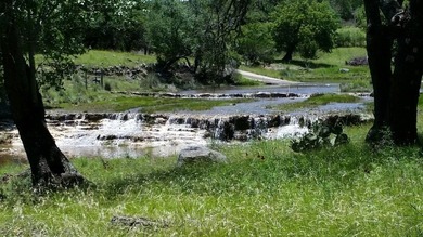 5.17 Acre flatter Lot with great build spot in Tierra Linda - photo 33