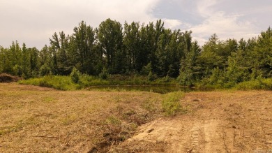 Custom Home on 96 Acres in Hector, Arkansas - Built in 2020