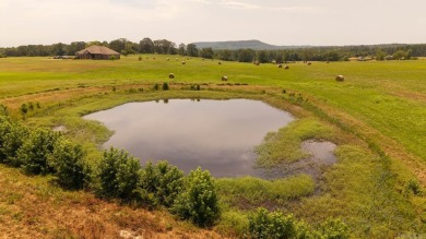 Custom Home on 96 Acres in Hector, Arkansas - Built in 2020